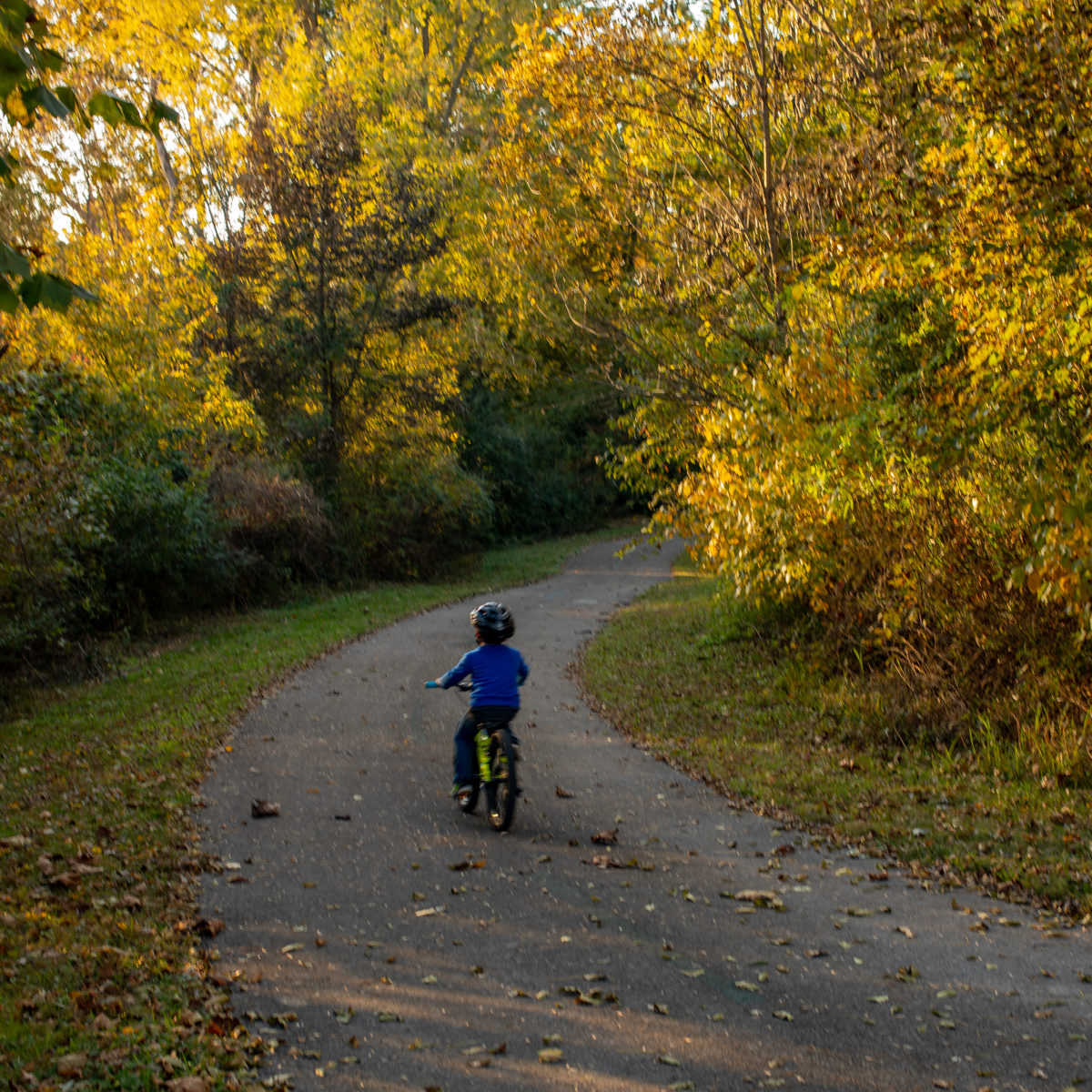Bike/Ped Bowling Green Kentucky